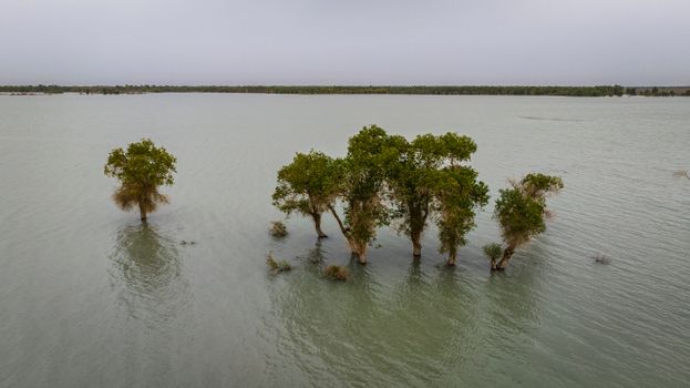 chenab river flooding update is more rai