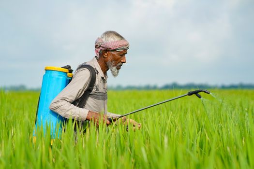 farmers under siege gangs wreak havoc on