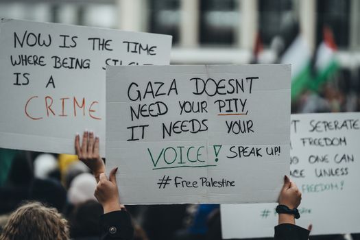 how gaza s students are resurrecting edu
