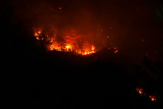 how wildfires are turning crete into a f