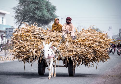 thousands stranded how punjab s floods t