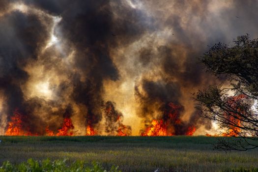 why europe s wildfires are spreading fas