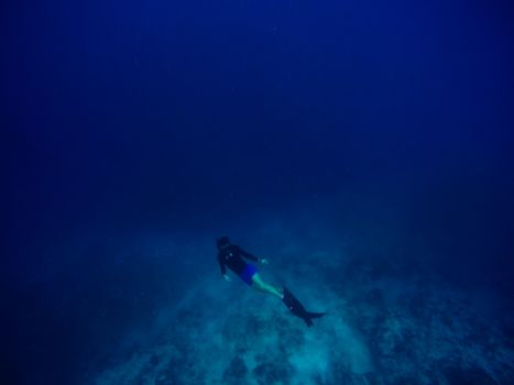 21 year old free diver takes the plunge