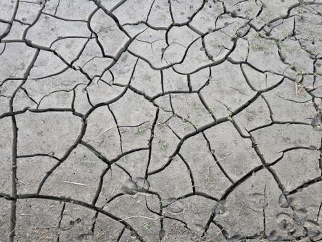 5 unsettling facts about the uk drought