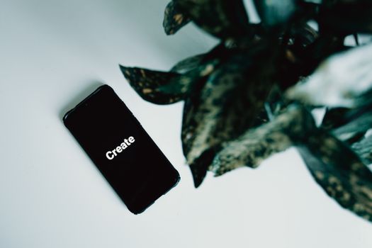 Minimalist photo of a smartphone displaying 'Create' next to green leaves on a white background.