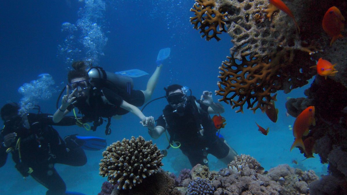 Group of scuba divers swimming near colorful coral reef with fish, showcasing underwater marine life.