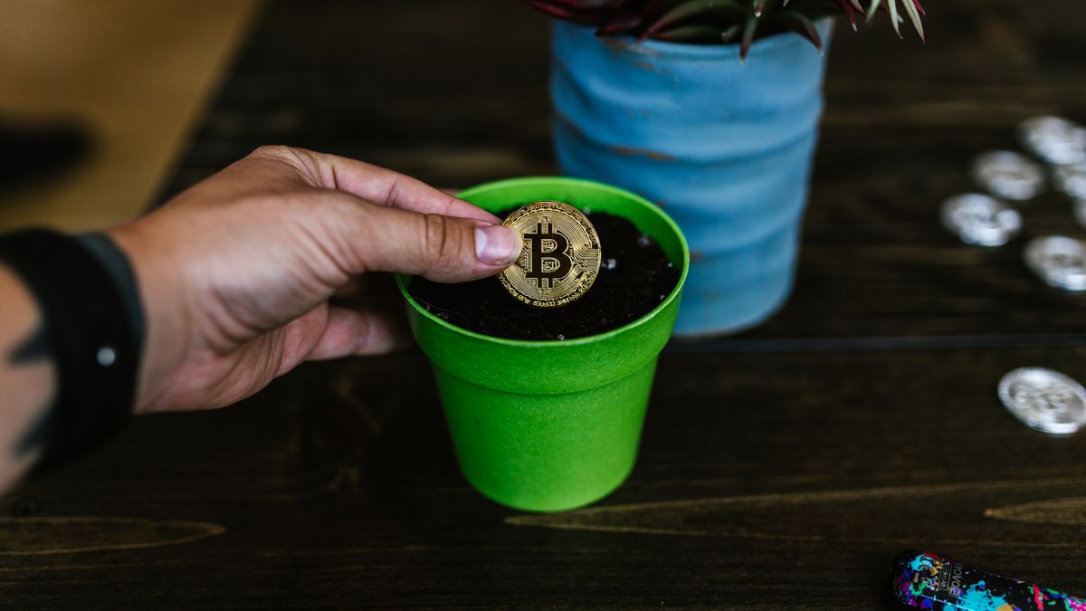 A bitcoin coin being placed into a green pot, symbolizing investment growth.