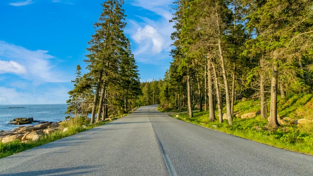 Serene coastal road in Maine surrounded by lush greenery and blue sky, perfect for a calm drive.