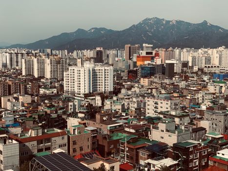 south korea s heatwave crisis 30 days of