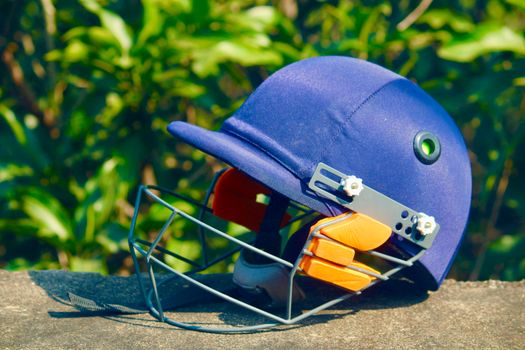 why bangladesh india cricket series face